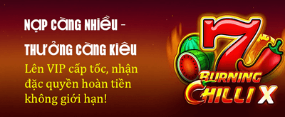 Ưu Đãi Độc Quyền Hôm Nay